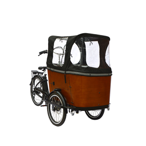 Vélo cargo électrique à trois roues, normes européennes, très vendu, modèle hollandais, pour famille, remorque, tricycle électrique, tricycle électrique urbain - Product Image 1