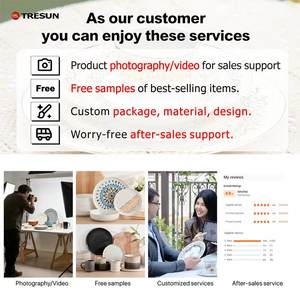 Ensemble Vaisselle TRESUN de Luxe Nordique Blanc Mat en Grès 16 Pièces, Logo Personnalisé, Passe au Lave-Vaisselle/Micro-Ondes, Service d'Échantillons Gratuits pour 4 Personnes - Product Image 6