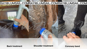 Penggunaan VET <span class=keywords><strong>ESWT</strong></span> fisioterapi peralatan anti guncangan elektrik terapi penghilang nyeri medis elektromagnetik gelombang kejut - Product Image 4