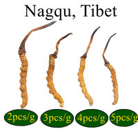 Cordyceps militaris de qualité alimentaire, Cordyceps sauvage de Nagqu