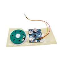 Module audio enregistrable personnalisé pour cartes-cadeaux, haut-parleurs uniques, bricolage, petit enregistreur vocal
