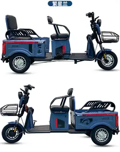 中国最优质的月-月载客电动三轮车成人电动三轮机动三轮车的印度市场的最佳销售