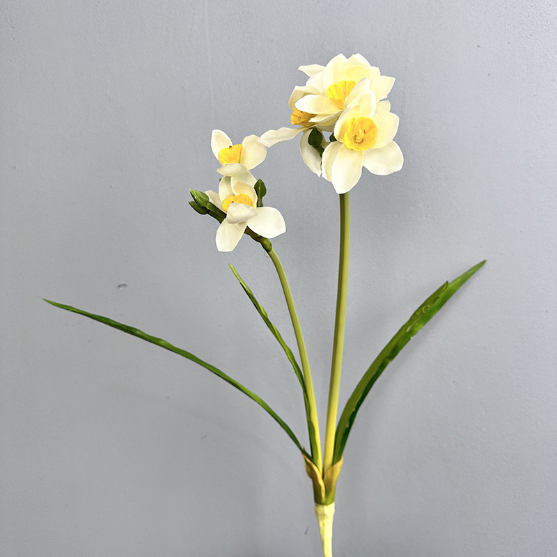 #2 narcissus