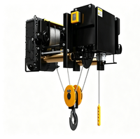 Nouveau palan européen de type 5t pour différentes utilisations de grue