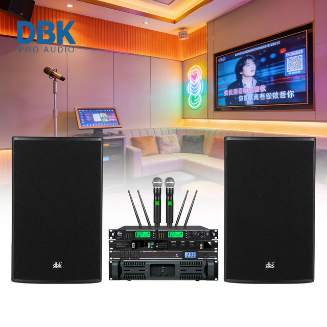Professional 10 Inch 2 Way Full Range Speaker System DJ Karaoke Audio Sound Equipment PA DJ Speakers Full Set for Disco Party