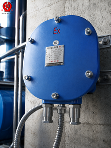 Boîtier de jonction de signal multipoint Pt100 vers 4-20mA SBWZ-2460 antidéflagrant pour acquisition de données de qualité industrielle - Product Image 1