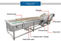 Hoogwaardige machines voor het reinigen en verwerken van groenten en fruit, wasmachine voor aardappelen, tomaten, wortelen, gember en fruit, bubbelwasmachine