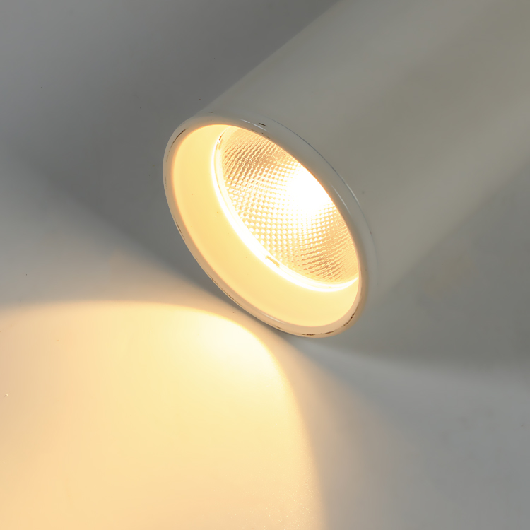 Modern Mall Cob Surface Mounted 15w 20w 30w Adjustable Led Track Light