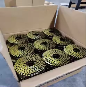 Clavos de Acero Galvanizado en Caliente OEM ODM con Cabeza de Tapa y Vástago Liso para Techos y Construcción de Madera de Larga Duración - Product Image 1