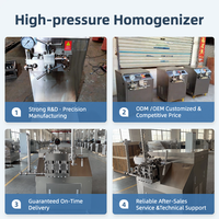Machine de Pasteurisation et d'Homogénéisation de Lait, Jus Concentré, Vin Doux et Crème Glacée Haute Pression en Acier Inoxydable 304/316L