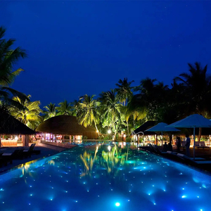 Elanby LED Fibre Optique PMMA Transparente pour Piscine, Effet Ciel Étoilé, Télécommande, Lumière Blanc Chaud 3500K, Garantie 2 Ans, -40°C +70°C - Product Image 5