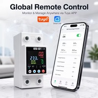 Compteur intelligent TUYA APP 63A AC en plastique 220V avec protection contre les surtensions/sous-tensions, écran LCD et contrôle à distance WIFI pour maison connectée