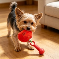 Jouet en peluche en forme de pomme pour chien, avec sifflet en TPR et combo os, idéal pour la mastication des chiots et le soulagement de l'ennui (vente en gros)