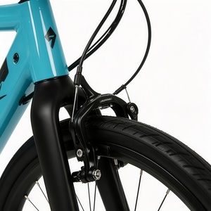 Vélo électrique de ville en alliage d'aluminium 28 pouces 36V, moteur central Bafang M400 250W, transmission par courroie Gates, <span class=keywords><strong>NEXUS</strong></span> <span class=keywords><strong>8</strong></span> vitesses, freins à disque hydrauliques - Product Image 3