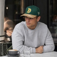 Outdoor sport A-frame snapback baseballcap met aangepaste 3D geborduurde logo zijpatch, bedrukte klep, waterdichte dobby, hoge kwaliteit OEM