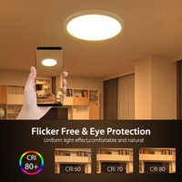 Plafonnier led rond avec télécommande Wifi, design moderne, éclairage d'intérieur, luminaire de plafond, intensité d'éclairage réglable, montage en surface sur panneau, rvb, 24/32W