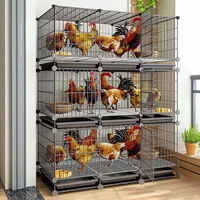 Système de Conception de Poulaillers pour l'Élevage de Volailles, Cage à Poules Pondeuses, Cage pour Poussins, Meilleur Prix, Fabrication Chinoise