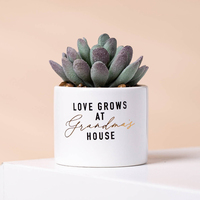 YUANWANG Décoration d'intérieur écologique, plante artificielle en forme de cactus, bonsaï, plantes succulentes en pot avec pot en céramique