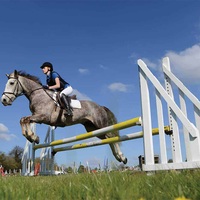Aochi Nouveau Design Compétition Cheval Produits Barrière de saut Parcours d'obstacles extérieur Spectacle hippique Saut d'obstacles