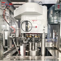 Machine de remplissage et de scellage entièrement automatique pour canettes en aluminium de 330 ml et 500 ml, pour boissons gazeuses et bières
