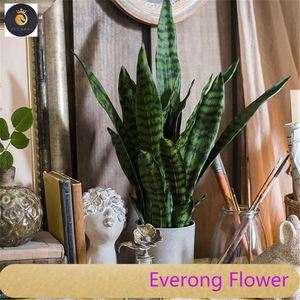 2024 nuova moda artificiale Aansevieria pianta verde foglie ramo per la decorazione interna esterna - Product Image 4