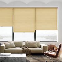Kualitas tinggi Modern Cordless seluler teduh desain jendela jendela Skylights kaca geser pintu Bottom-Up membuka polos