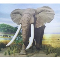 Imprimante à encre éco-solvant/UV/latex sur toile auto-adhésive à prix compétitif
