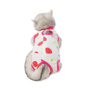 Traje de recuperación Abdominal para gatos pequeños, tejido de algodón transpirable para la recuperación de gatitos - Product Image 5