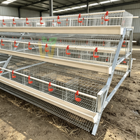 Cage à poules pondeuses de type A, anti-rouille, résistante à la chaleur, capacité 2000 poules pondeuses, équipement avicole durable RTL pour les fermes africaines