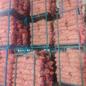 Qualidade Premium Red Fresh Alho Pesticida Livre Ajo Chino Ail Frais para Alho Pó Importador nos Emirados Árabes Unidos - Product Image 6