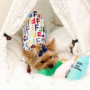 Ropa transpirable cómoda para mascotas, camiseta de diseño para cachorros y gatos de verano - Product Image 3