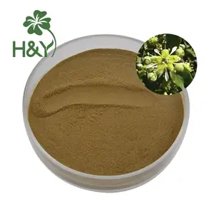 Factory Supply Hot selling Quillaja Saponaria Bark Extract Quillaia Bark Extract