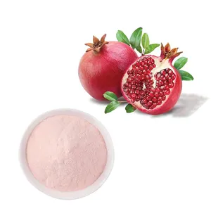 Organic Natural Pomegranate Preserved Fruit Powder Bark Red Extract 40% Pomegranate Extract Soluble Pomegranate Juice Powder