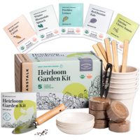 Kit de démarrage de jardin d'herbes d'intérieur certifié unique sans OGM Kit de culture de plantes de tomates pour enfants comptoir potager usage domestique