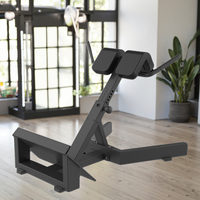 Chaise romaine réglable de machine de forme physique commerciale de logo personnalisé banc de gymnastique avec le banc plat en cuir et l'extension arrière pour la formation