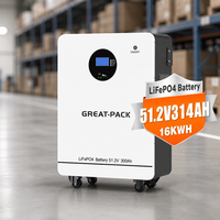 Batterie ESS montée au sol 51,2 V 16 kWh 314 Ah, batterie de stockage solaire intelligente 15 kWh 300 Ah avec BMS, systèmes de stockage d'énergie domestique