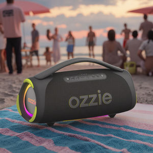 Haut-parleur OZZIE 160W haut-parleur caisson de basses haute qualité lecteur <span class=keywords><strong>audio</strong></span> portable A60 connectivité Bluetooth microphone domestique - Product Image 1