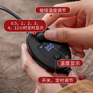 Brûleur électronique en céramique à température réglable, four domestique <span class=keywords><strong>pour</strong></span> huiles essentielles, diffuseur d'arômes, encens japonais, écologique - Product Image 3