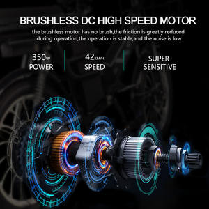 <span class=keywords><strong>Vélo</strong></span> <span class=keywords><strong>électrique</strong></span> <span class=keywords><strong>professionnel</strong></span> Ridstar 48V <span class=keywords><strong>Cargo</strong></span> avec double batterie au lithium Side Car longue portée pour emporter et livraison - Product Image 3