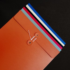 Bolsa para Archivos Personalizada, Papel Perlado, Decoración en Dorado, Bolsa para Contratos, Sobre para Archivos, Carpeta con Logotipo Personalizado, Bolsa de Seguridad - Product Image 3
