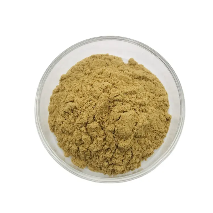 Hochwertiges Goldenseal-Wurzel pulver Golden Seal-Wurzel extrakt pulver