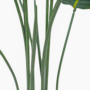 OH Arts Novo Design Traveler Banana Decoracao Interior Green Plant Pot Simulacao Viajante Banana Tree en venta - Product Image 4