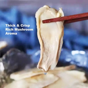 เห็ดนางรมแห้งหั่นบางๆแห้ง Pleurotus <span class=keywords><strong>eryngii</strong></span> เห็ดสดแห้ง - Product Image 5