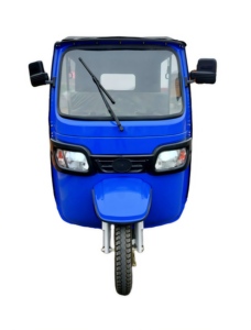 Motocicleta Eléctrica de 3 Ruedas para Adultos, Mototaxi con Cabina, Triciclo TVS Tuktuk, 1000W de Potencia, 3 Asientos para Pasajeros, Carrocería Cerrada - Product Image 6