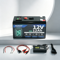 Pack de batteries LiFePO4 12V, plusieurs couleurs de coque au choix, rechargeable, cycle profond, pour le camping et les situations d'urgence