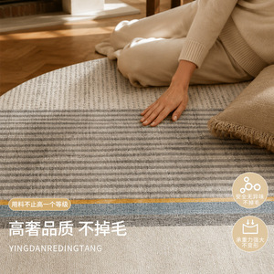 EIFFEL HOME Round <b>Rug</b> Imitation Cashmere Striped Solid Color Washable Living Room Bedroom Floor Mat for Adults - Product Image 3