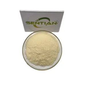 L-Tetrahydropalmatine Rotundine 98% Rotundine Powder