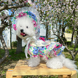 PETCIRCLE - Product Image 2