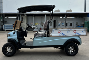 WELIFTRICH chariot utilitaire à piles <span class=keywords><strong>2</strong></span> <span class=keywords><strong>places</strong></span> bon marché chariot de golf électrique à benne basculante à vendre - Product Image 4