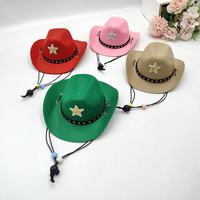 Baboney Western Cartoon Star Kindergeburtstag Party Mini Cowboy Filz Sonnenhut für Haustiere Alle Jahreszeiten